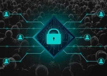 Qué camino elegir para estudiar Ciberseguridad en España: Formación Profesional vs Universidad