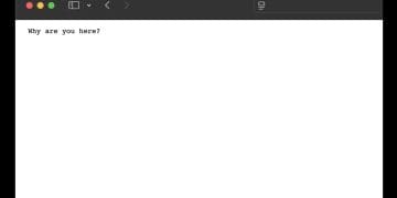Creé un sitio web en blanco y obtuve 30.000 clics de inmediato: ¿por qué esto es un problema?